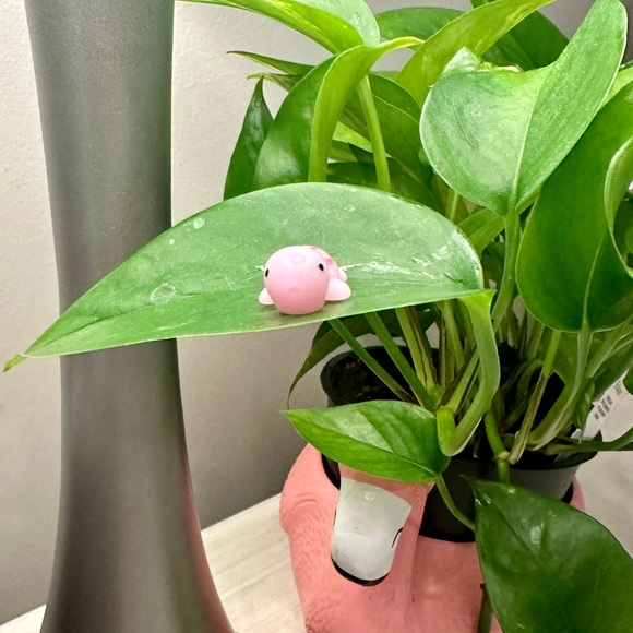 🍃10 pack PLANT MAGNETS!🍃 - Picture 2 of 14